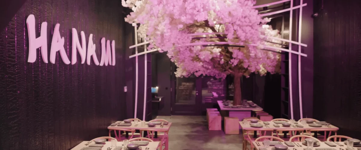 Hanami Bruxelles : une adresse japonaise incontournable à découvrir