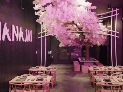 Hanami Bruxelles : une adresse japonaise incontournable à découvrir
